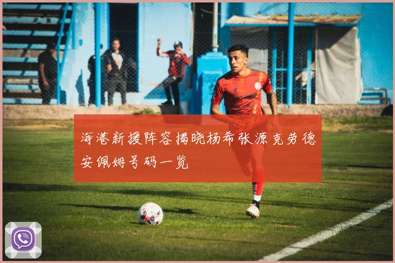 海港新援阵容揭晓杨希张源克劳德安佩姆号码一览
