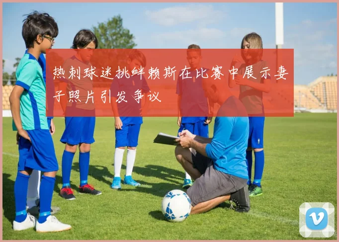 热刺球迷挑衅赖斯在比赛中展示妻子照片引发争议